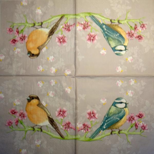 131 Vögel - 3-lagig (rosa) - Atelier